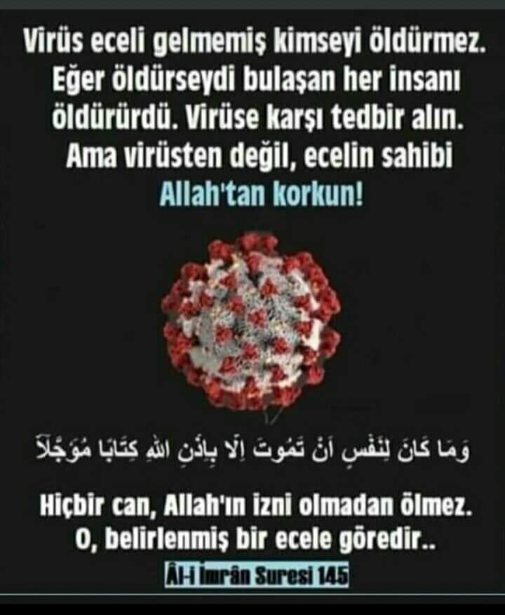 SevdaSaral0's tweet photo. https://t.co/Gb1GOAtexw