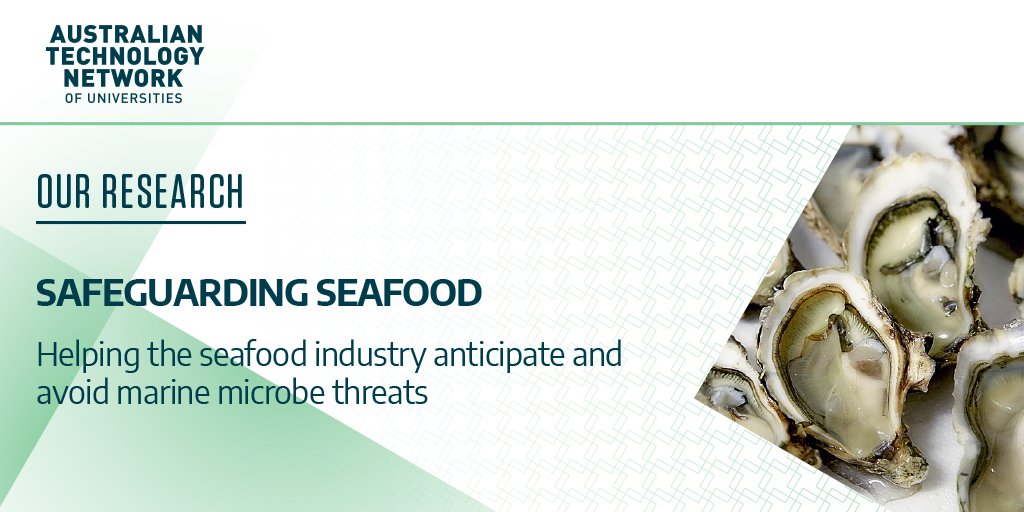 ATNUnis's tweet photo. Biotoxins are invisible to the naked eye, but their impact to our seafood industry is immense. Researchers at @UTSEngage have developed a testing kit to identify early threats to our seafood. Read more in #OurResearch https://t.co/NBp1NnSSRN https://t.co/m54pCu7pxd
