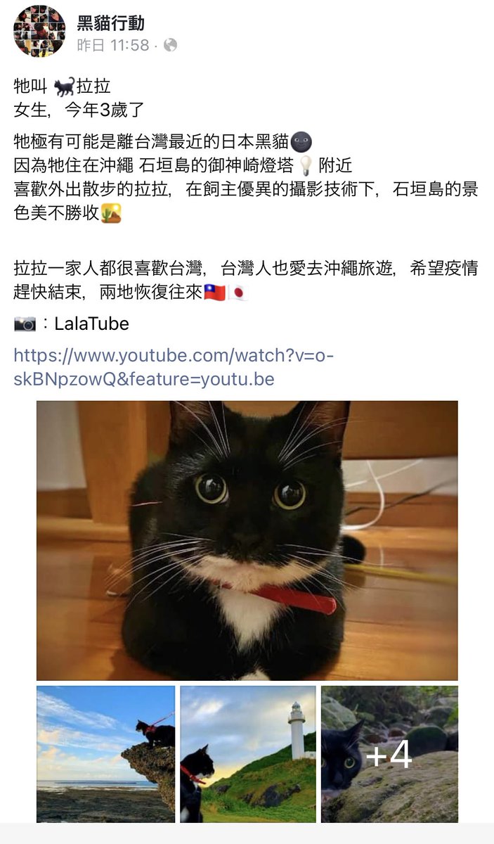 ララ 猫のお散歩 石垣島 台湾の黒猫好きのfbコミュニティ 黑貓行動 さんにご紹介頂きました 黒猫 の美しさ 可愛さを発信している素敵なコミュニティです 台湾大好きなので嬉しい
