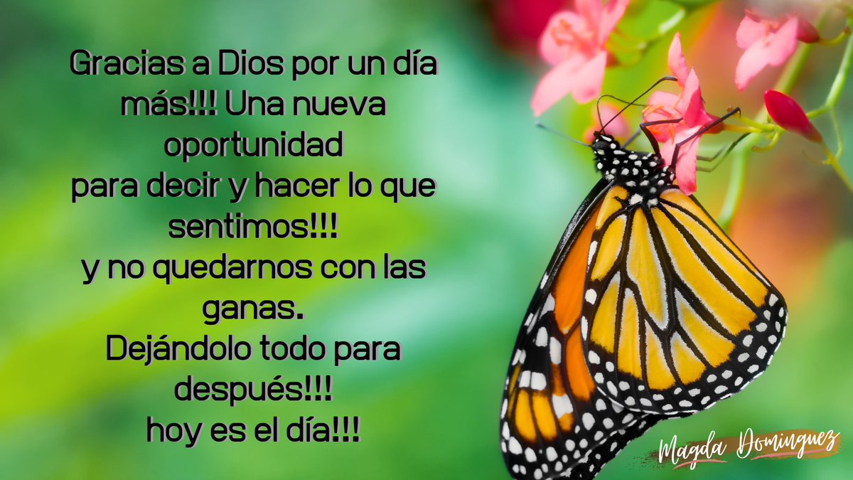 MagdaDo35082259's tweet photo. Gracias a Dios por un día más!!! Una nueva oportunidad
para decir y hacer lo que sentimos!!!
y no quedarnos con las ganas.
Dejándolo todo para después!!!
hoy es el día!!!
#arribaeseánimo!!!
#couchdevida
Redes sociales: 
Facebook: /https://t.co/kp1k6YrlAK https://t.co/mPJABWGNgG