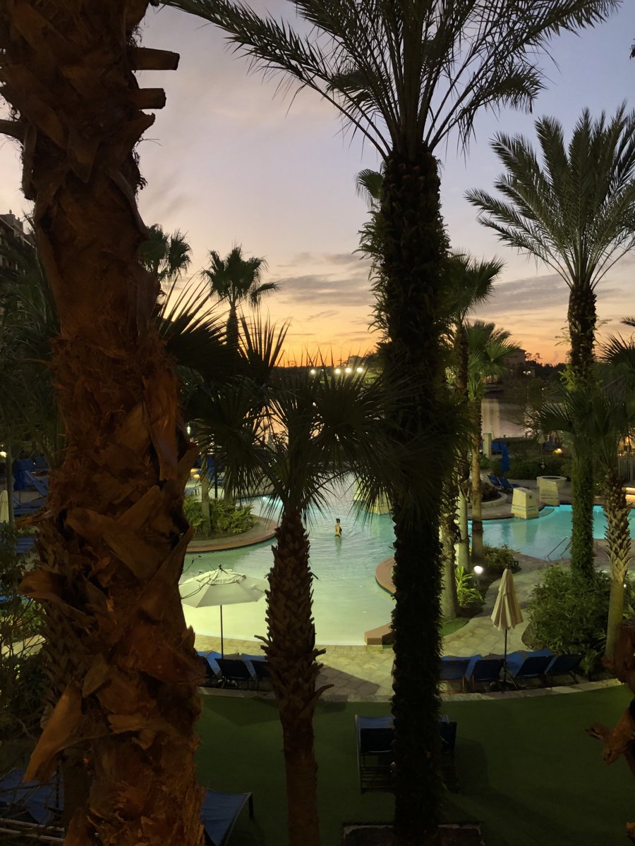 Keely feeman tweet media