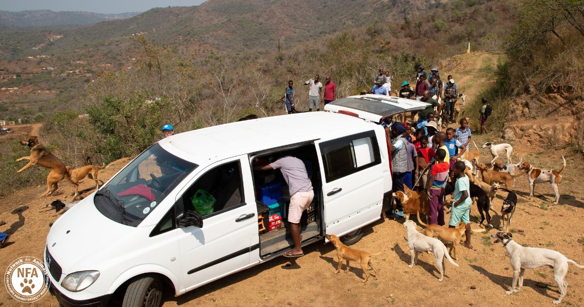 Stray animals wander the streets of South Africa in search of food. We are overwhelmed by the number of alerts we receive daily. So many need urgent care. 

Please share this post. The more people who know what is going on, the more animals we can save! ow.ly/pH0550COxo3