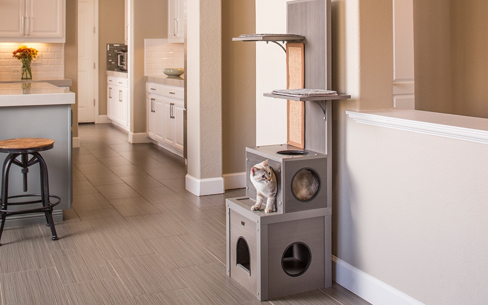 activehomeowner's tweet photo. If you want to get your feline friend the best gift, why not make them a DIY cat house via home depot. https://t.co/jw5Oir1ANV

#house #home #cat #cats #kitten #pet #DIY #build #fun #gift #holiday #love #fun #play #family #entertainment https://t.co/pYtiuJniJ0