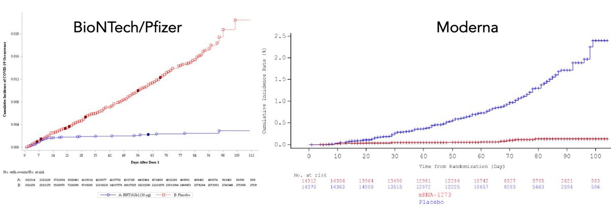 The red in the Pfizer vaccine is placebo and the blue is the vaccine group. It’s reversed in the Moderna for some reason.By about day 14-ish after the first dose, the placebo group starts to get more COVID cases than the vaccine group... and then it’s not even close!