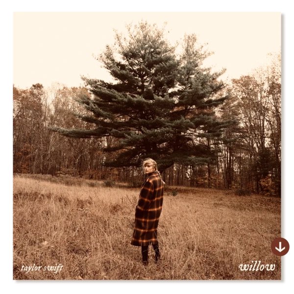 Why Taylor Swift’s “Willow” is Your New Favorite Christian Song: A Thread1.) “Life was a willow, and it bent right to your wind” emulates John Mark McMillan’s “Loves like a hurricane; I am a tree, bending beneath the weight of His wind and mercy”  1/