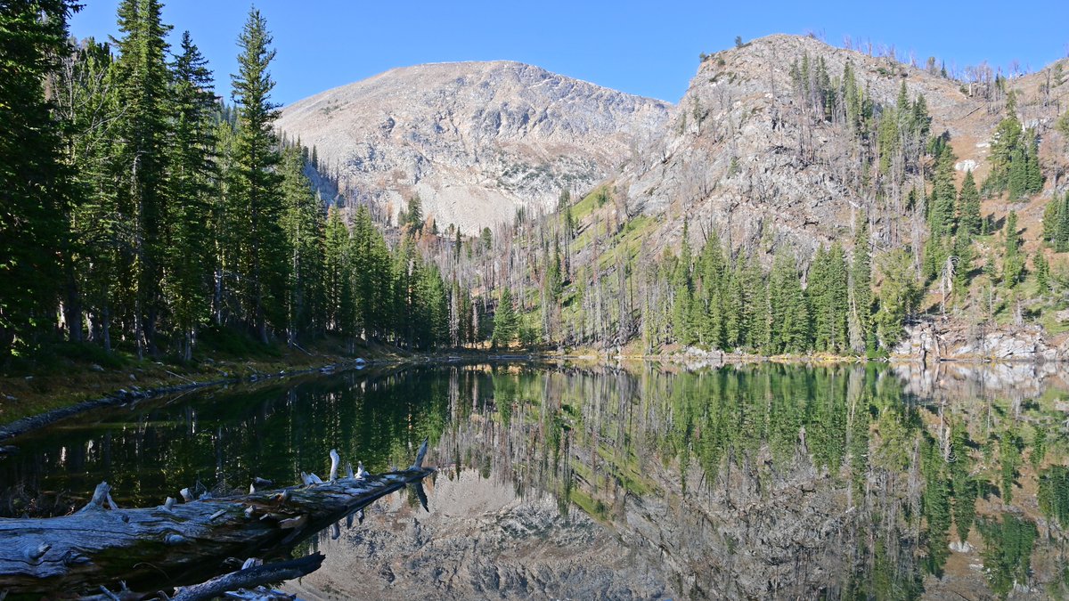 wildmontana's tweet photo. Thanks to everyone who submitted photos to our 2020 #PictureWildMontana photo contest! We'll announce the winners in January 2021.
For now, enjoy this stellar shot submitted by Ronald Glovan of Oreamnos Lake in the Anaconda-Pintler Wilderness near the CDT. #pwmt #photocontest https://t.co/9njZCFS2cA