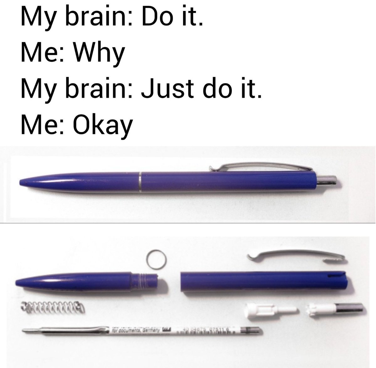 DankMeme.com tweet media