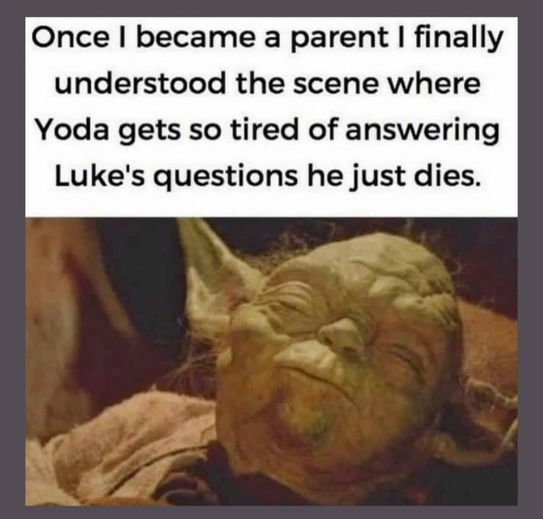 TarzanDan's tweet photo. .@HamillHimself was this a difficult lesson in the movies and real life? https://t.co/HuHvh3Hggo