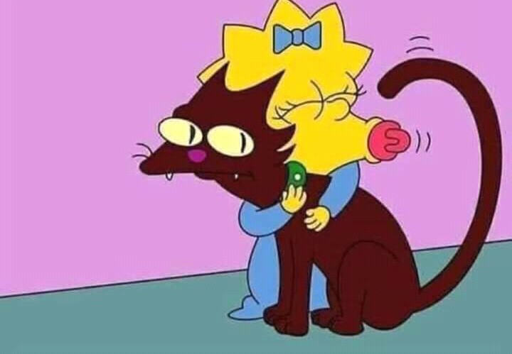 Cuando llegas del trabajo y lo primero que haces es saludar al michi.