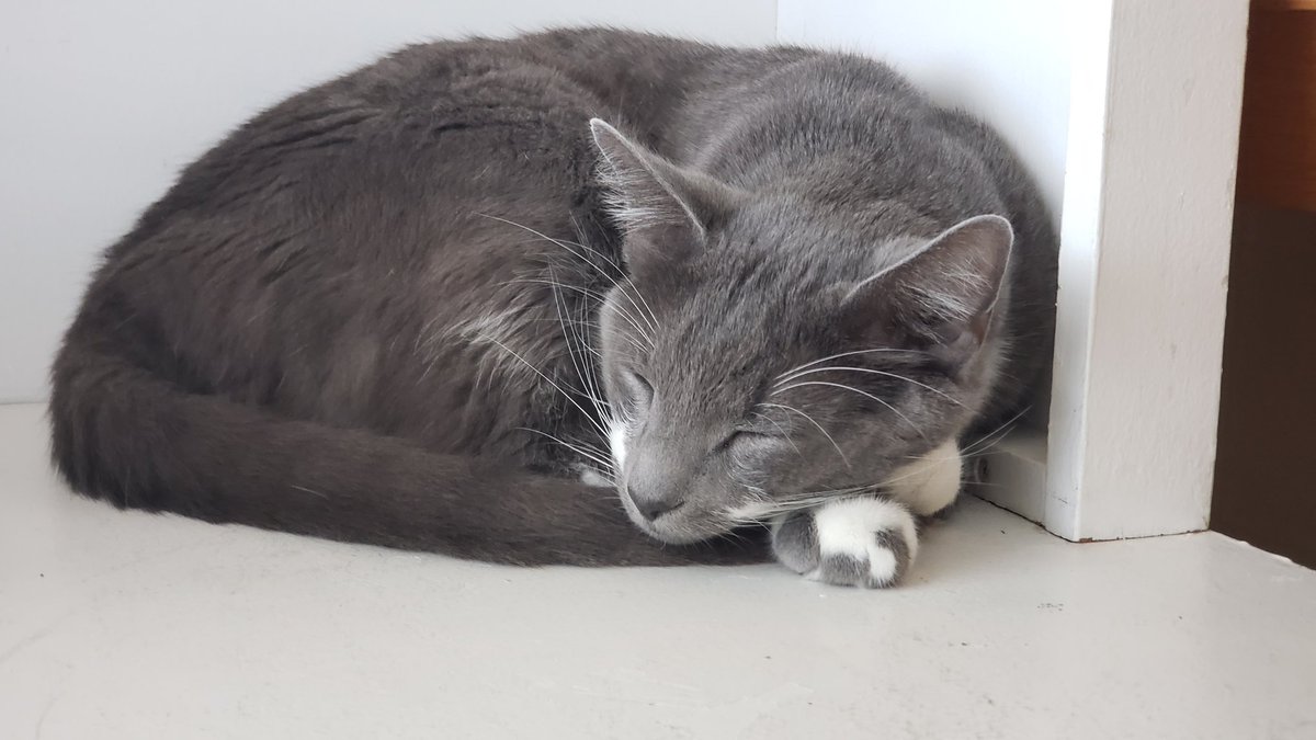 Catalyst (gay_catalyst) Twitter