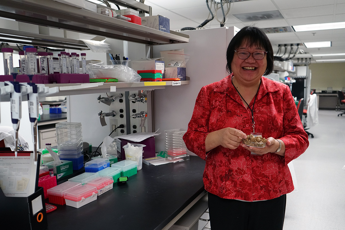 365 Women in Botany (@365botanywomen) on Twitter photo Born next week in '63, Araliaceae and Vitaceae evo botanist Jun Wen graduated from <a href="/HZAU_China/">Huazhong Agricultural University</a> and <a href="/OhioState/">Ohio State</a>. A curator at <a href="/NMNH/">Smithsonian NMNH</a> @Smithsonian, she has worked <a href="/FieldMuseum/">Field Museum</a>, <a href="/ArnoldArboretum/">Arnold Arboretum</a> <a href="/Harvard/">Harvard University</a>, and <a href="/ColoradoStateU/">Colorado State University</a>; and served with <a href="/AmSocPlantTaxon/">American Society of Plant Taxonomists</a> and @IAPTGlobal. Born next week in '63, Araliaceae and Vitaceae evo botanist Jun Wen graduated from <a href="/HZAU_China/">Huazhong Agricultural University</a> and <a href="/OhioState/">Ohio State</a>. A curator at <a href="/NMNH/">Smithsonian NMNH</a> @Smithsonian, she has worked <a href="/FieldMuseum/">Field Museum</a>, <a href="/ArnoldArboretum/">Arnold Arboretum</a> <a href="/Harvard/">Harvard University</a>, and <a href="/ColoradoStateU/">Colorado State University</a>; and served with <a href="/AmSocPlantTaxon/">American Society of Plant Taxonomists</a> and @IAPTGlobal.