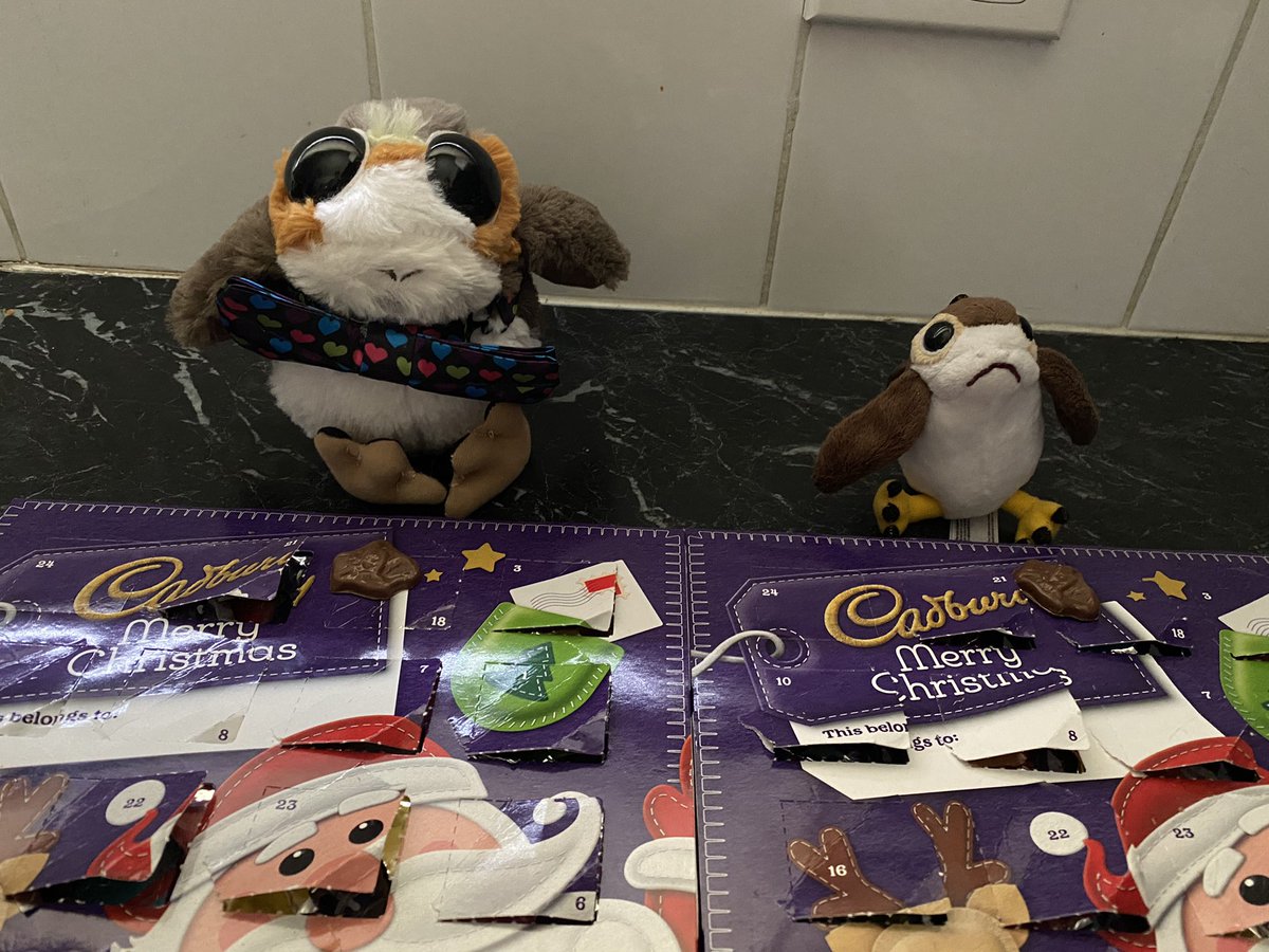 TinkerTigerBell's tweet photo. Buggie and Porgsquesk opened the calendar today. #porgscountdowntochristmas2020
#porgstagram #instaporg #porgs #porg #porgsofinstagram #porgnation #porglife https://t.co/7dOC4ejSnQ