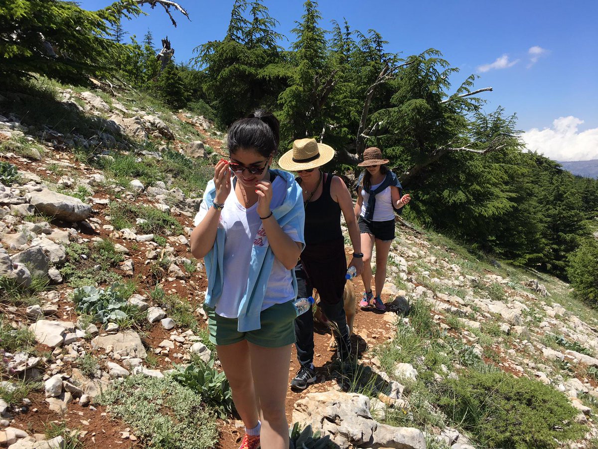 UChicago Neurology Residency tweet media