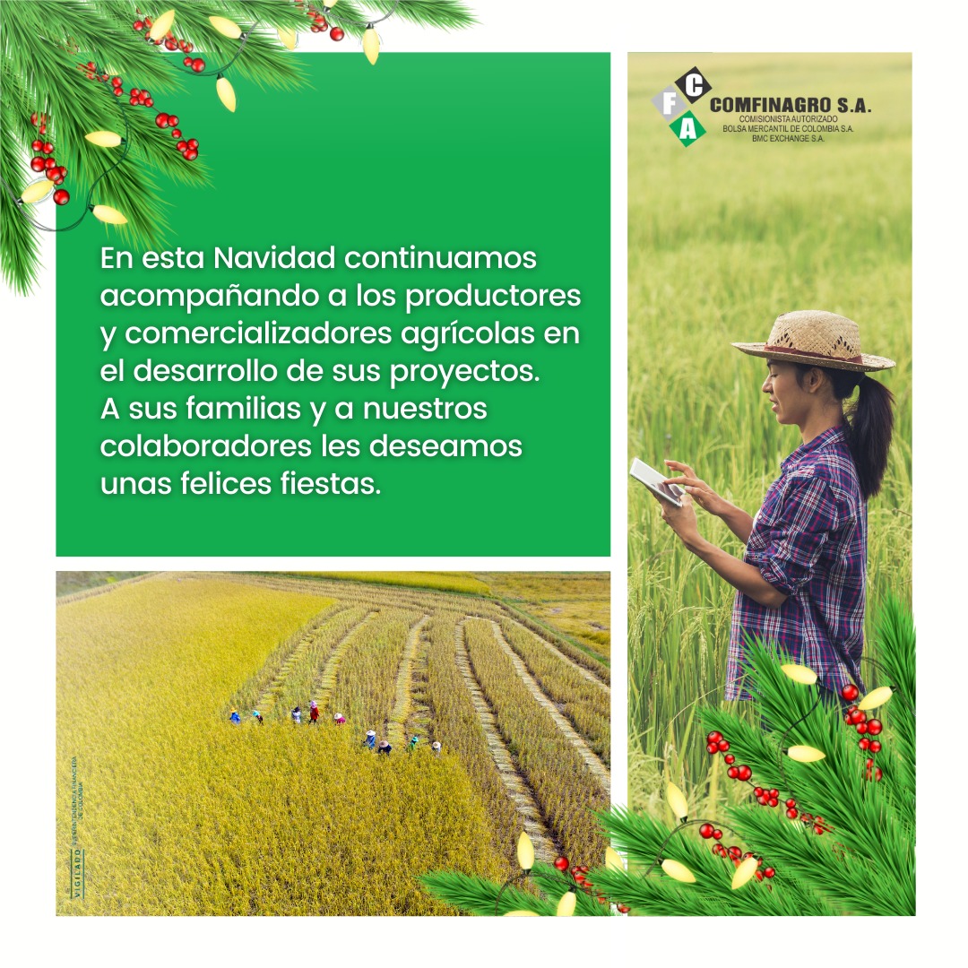 Gracias al compromiso de nuestros colaboradores y a la confianza de nuestros clientes, somos una de las empresas más reconocidas del sector. 🏅🤝🌱 En el 2021 seguiremos trabajando para contribuir al desarrollo de la agroindustria colombiana. 🎄🪅 ¡Feliz Navidad!
