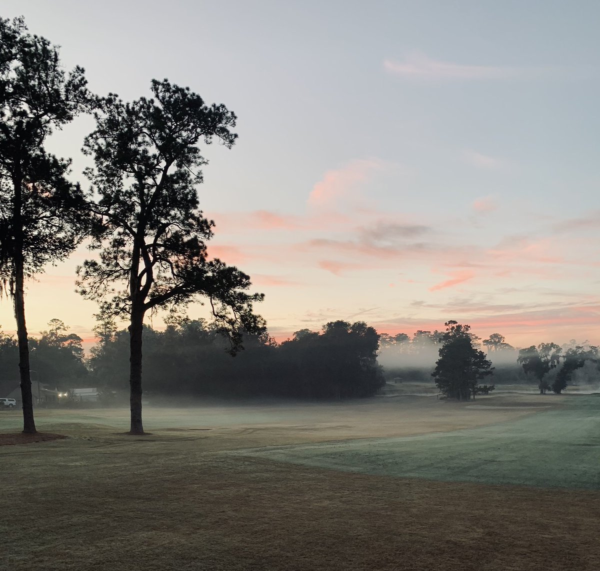 UF Golf Course tweet media