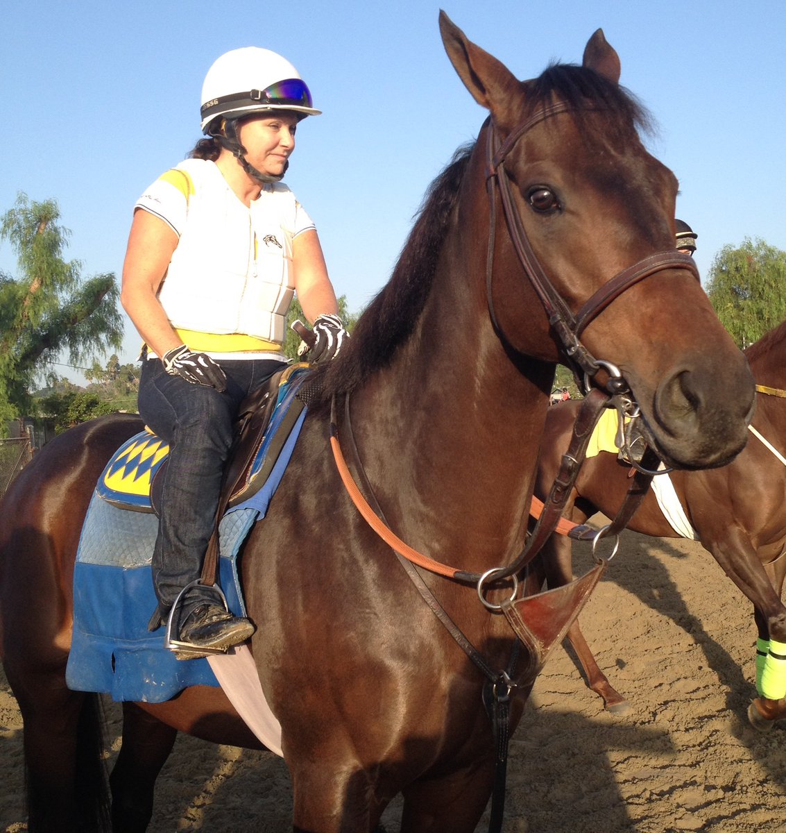 TurfHistoryTime's tweet photo. @SouthernLegacy These two: #GameOnDude #WiseDan https://t.co/mcwrQv8LIc