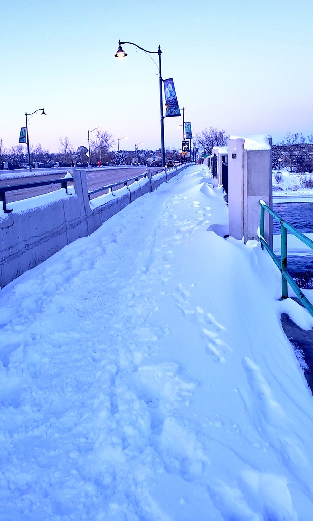 BikeBikeYYC's tweet photo. Green runs into double black.  #TransitionsAreKey #yycbike https://t.co/79XgUU4X1d