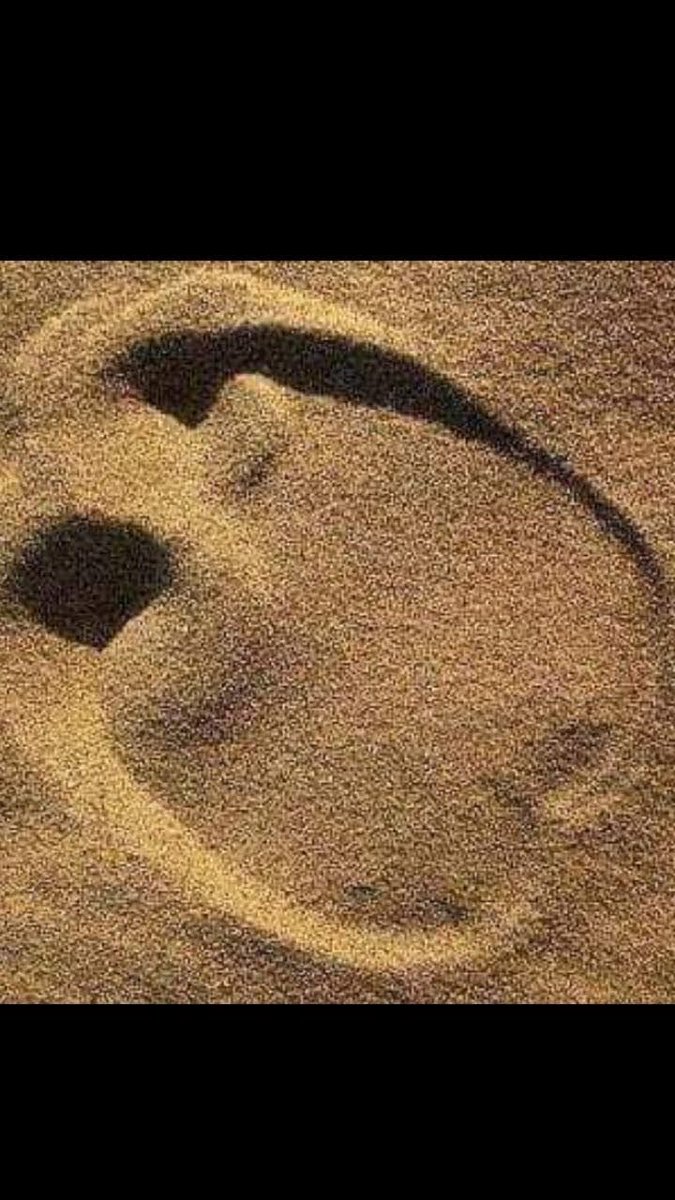 Modabechirt's tweet image. Ce qu'il faut faire pour échapper au virus les conseils des experts.