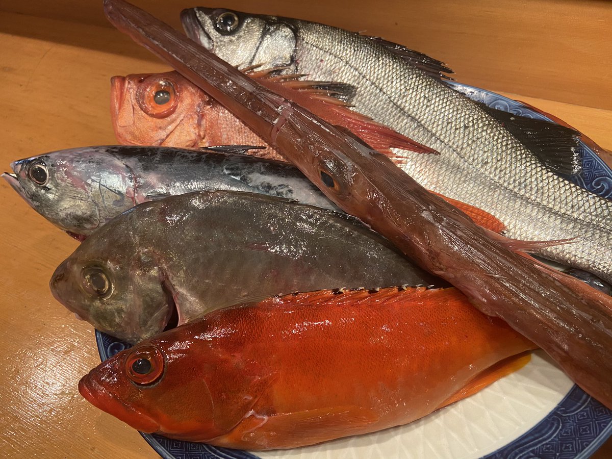 釣り魚の店 舟武 年末年始のお知らせ 今日オススメは 平スズキ 平宗田カツオ チカメキントキ鯛 カイワリ 赤ヤガラ 皮ハギです アンコウとあん肝 白子 牡蠣の痛風鍋も是非 年末年始の営業は 12月31日 1月4日お休みします 1月5日は17時からの 釣り魚の店 舟武 年末年始のお知らせ 今日オススメは 平スズキ 平宗田カツオ チカメキントキ鯛 カイワリ 赤ヤガラ 皮ハギです アンコウとあん肝 白子 牡蠣の痛風鍋も是非 年末年始の営業は 12月31日 1月4日お休みします 1月5日は17時からの