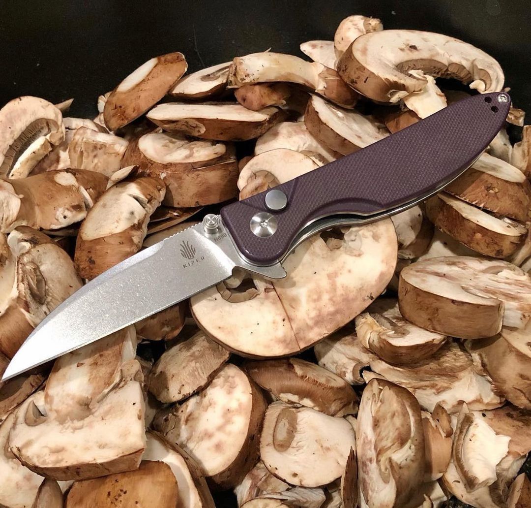 There wasn’t a mushroom, but I fit in the new @kizer_inc Sway Back button lock flipper. Hey, I’m a fungus.
#repost from @chstanland