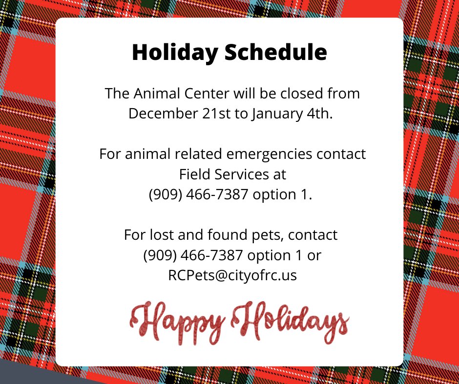 Happy Holidays Everyone! 🎄🐶🐈🐰