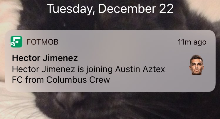 gringacongatos's tweet photo. Austin Aztex FC, that’s a new one. #expertsinsoccer #businessmetrics https://t.co/VdvrMVN6B9