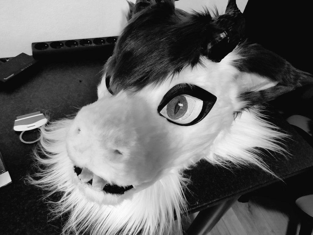 Merzaro_'s tweet photo. Got another snapshot from my upcoming 'Primal demon dragons😇'
It wouldn't take anymore😈
#Scary #fursuit #furryfandom #spooky #floof #rovee #chryso #demon #dragon #dutch #furrie #newfursuit #furrieart #creative #fur #vanecia #furrys #creepy #evil #furryart #furry #fluf #furryoc https://t.co/ZpytkkyvJt