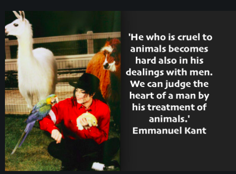 MJJJusticePrjct's tweet photo. "We can judge the heart of a man by his treatment of animals."  Emmanuel Kant --  #quotes #MichaelJackson love &amp; care of animals is legendary &amp; documented. ❤️ https://t.co/NpOkyq1XRE