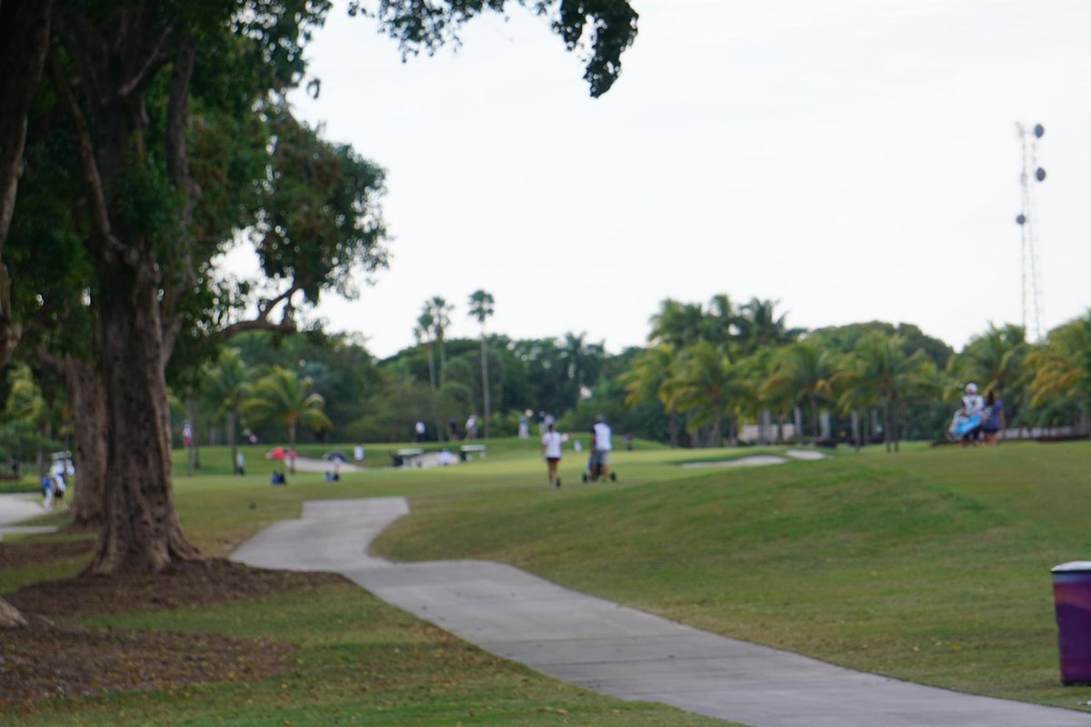 3rd Round Tee Times are up for 14 over! Good luck to all the players 2020doralpublix.golfgenius.com/pages/2610215 #doralpublix #firstteemiami