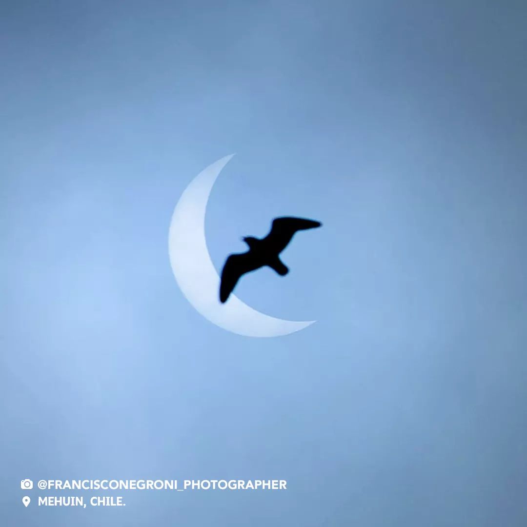 TennaTerinah2's tweet image. Relive an epic moment! 🌔 Enjoy and sharing these incredible photos of today’s Eclipse Chile2020, when the south of Chile became a true natural observatory.
#CreatingFuture #EclipseChile #Eclipse2020 #MarcaChile #Astronomy #Araucanía 
#Astrophotography