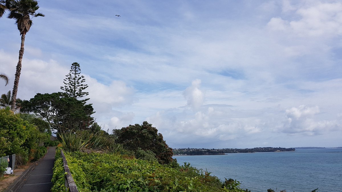 TravelCaptures_'s tweet photo. Had a great #walk yesterday along East Coast bays in #Northshore, #Auckland (#BrownsBay, #RothesayBay, #MurraysBay, #CampbellsBay and then all the way back).
#lifestyle #walking #beach #NewZealand #summer #views #longwalks #EastCoast #cliffs #bays #ocean #scenic https://t.co/5BHr3cjhw7