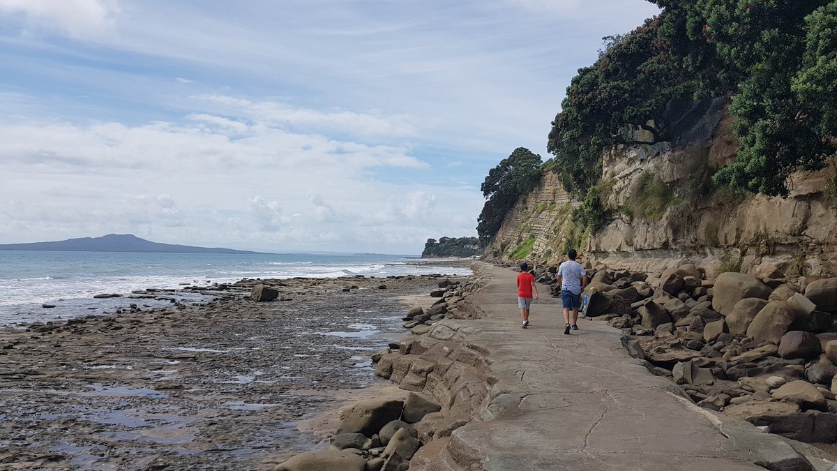 TravelCaptures_'s tweet photo. Had a great #walk yesterday along East Coast bays in #Northshore, #Auckland (#BrownsBay, #RothesayBay, #MurraysBay, #CampbellsBay and then all the way back).
#lifestyle #walking #beach #NewZealand #summer #views #longwalks #EastCoast #cliffs #bays #ocean #scenic https://t.co/5BHr3cjhw7