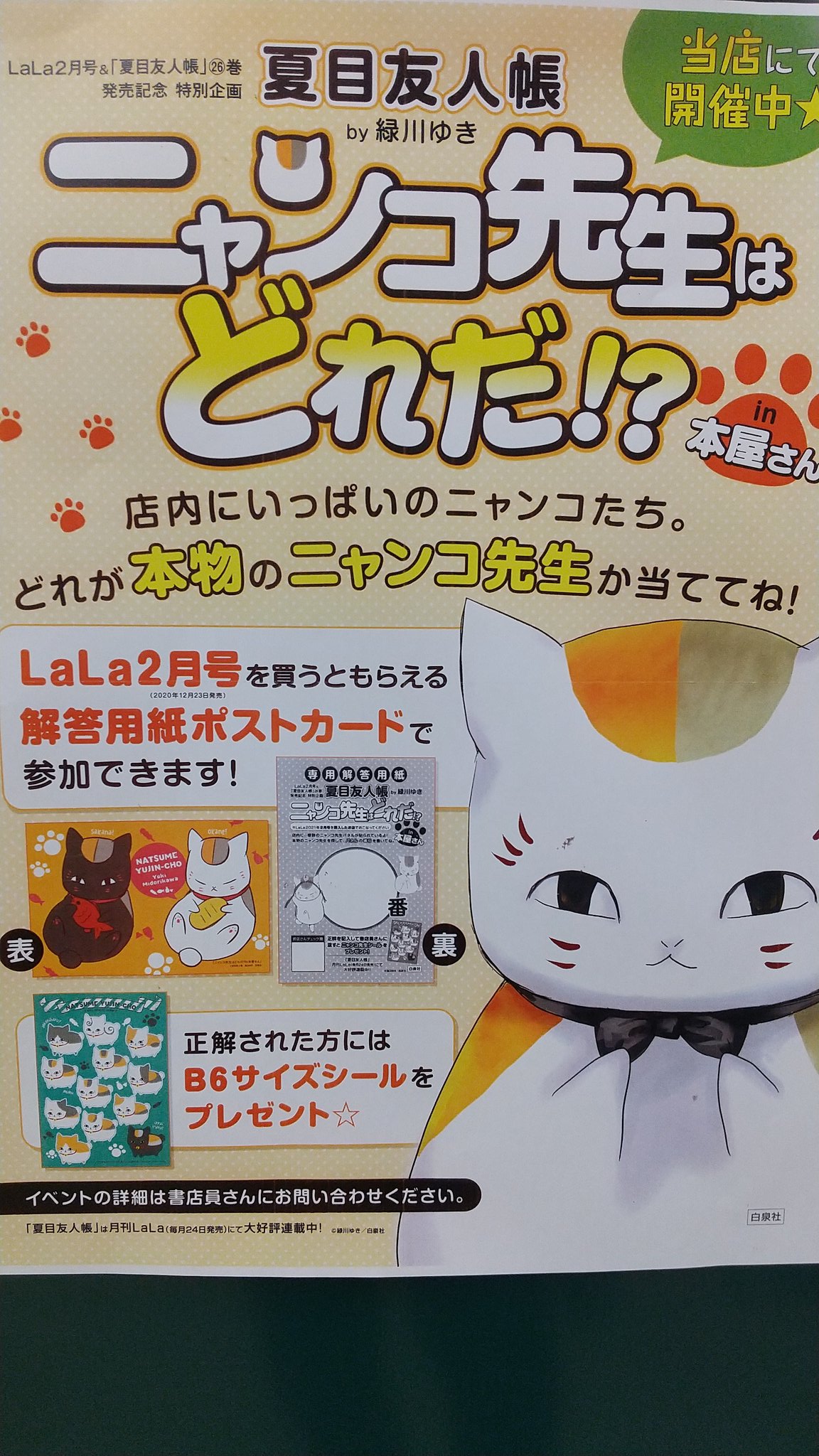 数量限定 にゃんこ先生様専用ナリスまとめ - poumonquebec.ca