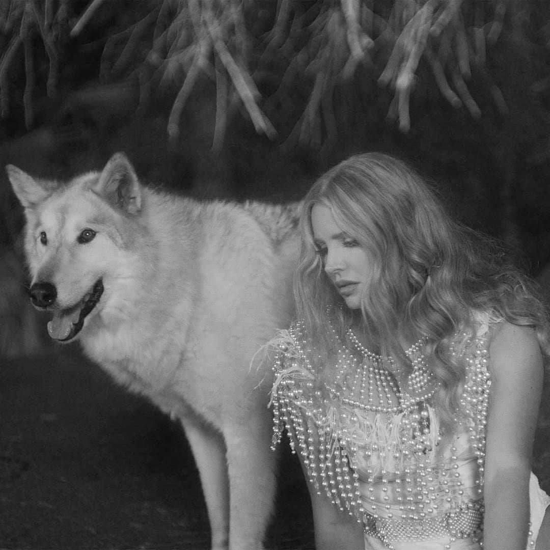 DO NADA: Kurenai Del Rey , nossa rainha do genjutsu da sofrencia divulga trailer do seu novo álbum Chemtrails over the Country Club e anuncia lead single da faixa título para dia 11/01/2021 junto com a pre venda do álbum, será que agora vem? Foto do clipe ft Akamaru
#acervouchiha