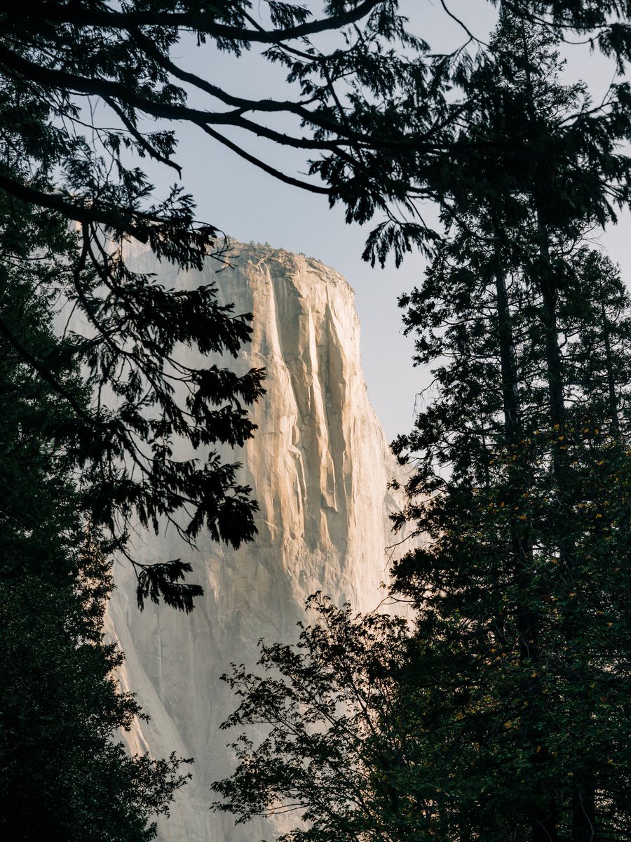 JasonRyanStudio's tweet photo. Yosemite // October 2020 https://t.co/x7j1uvUGBs