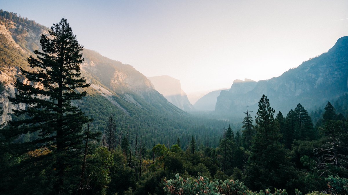 JasonRyanStudio's tweet photo. Yosemite // October 2020 https://t.co/x7j1uvUGBs