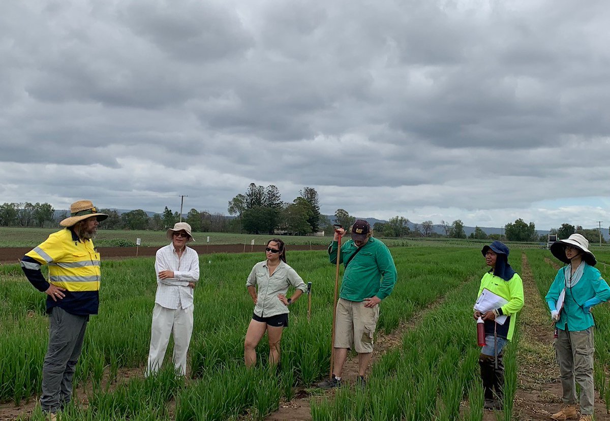 Great discussions with NSW DPI Rice breeder and the UQ team at the Gatton Aerobic 'DryRice' field trials  
<a href="/UQRiceDen/">Mitchell Rice Group</a> <a href="/AgriFuturesAU/">AgriFutures Australia</a> <a href="/UQscience/">UQ Science</a> <a href="/cprou1/">Christopher Proud</a>
 <a href="/BrianDunn1287/">Brian Dunn</a>