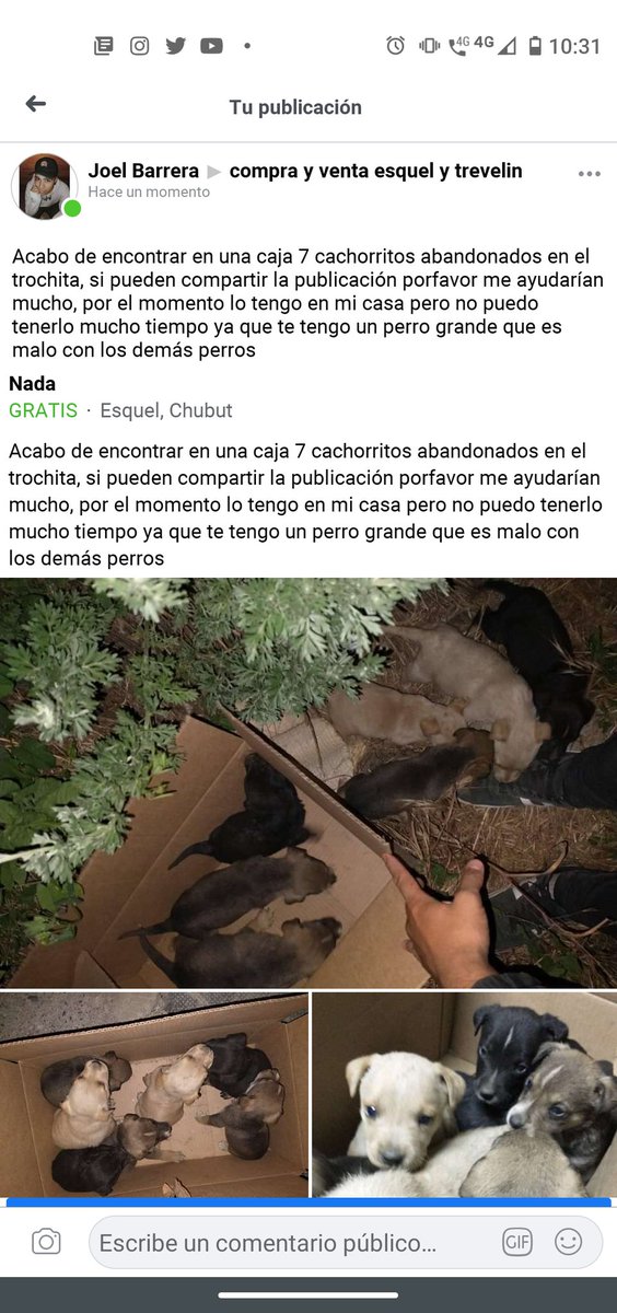 JoelBarrera25's tweet photo. Porfavor si pueden difundir me ayudarían muchísimo https://t.co/hIoOSrOY3K