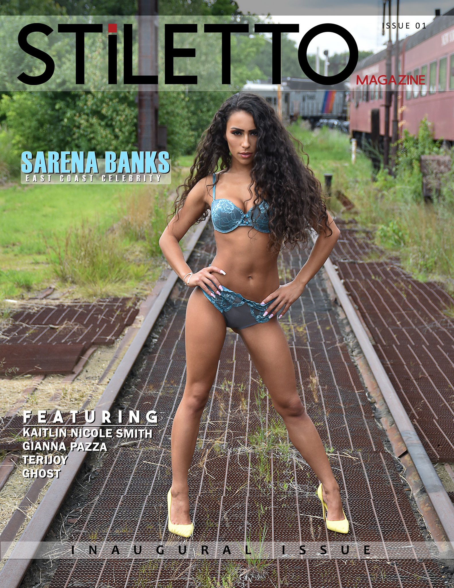 𝙊𝙛𝙛𝙞𝙘𝙞𝙖𝙡 𝙎𝙏𝙞𝙇𝙀𝙏𝙏𝙊 𝙈𝙖𝙜𝙖𝙯𝙞𝙣𝙚 on X: Our inaugural  issue of STiLETTO Magazine featuring Sarena Banks on the cover. Be sure to  follow us on instagram @stilleto_magazine t.coN5dUi6GoC3  X