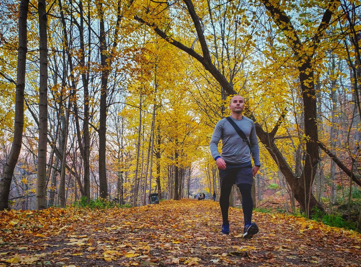 CLIMBHamilton's tweet image. Special announcement! 

With only two weeks to until the end of 2020 &amp;amp; the summit #EverestInHamont challenge, our founder &amp;amp; CEO Brian Humphrey has committed to climb 1KM of the trail for every $500 raised from now until Dec. 31st!

climbhamilton.com 
#hamont