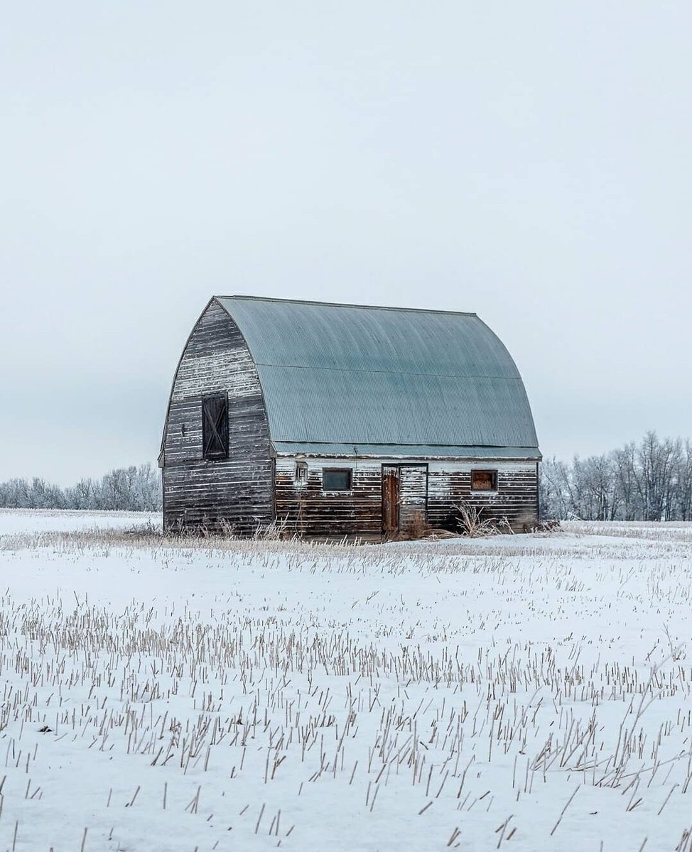 Just a few barn photos...
@TravelAlberta @ExploreEdmonton 
@ExploreCanada @CanonCanada 
#barns #barnphotography #Yeg #Rural #redbarn #Alberta