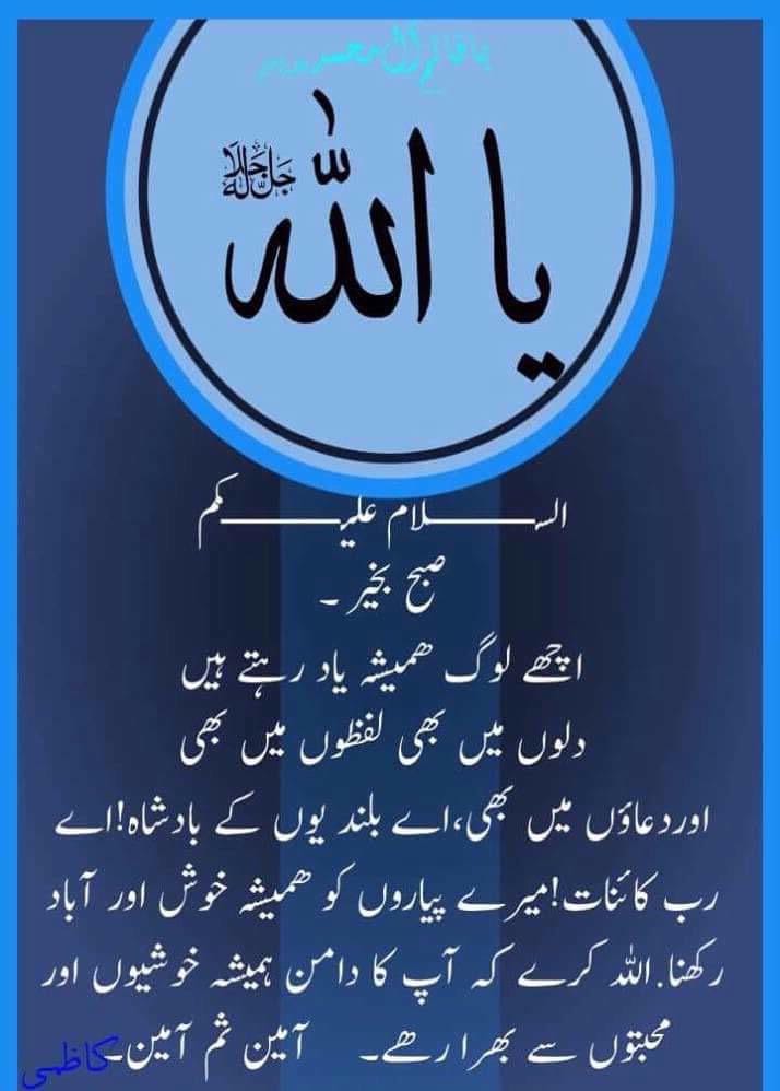 شیخ ۔۔۔۔ مسعود tweet media