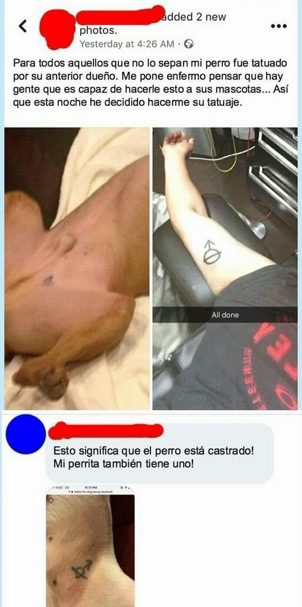 JAJAJAJAJAJJAJA