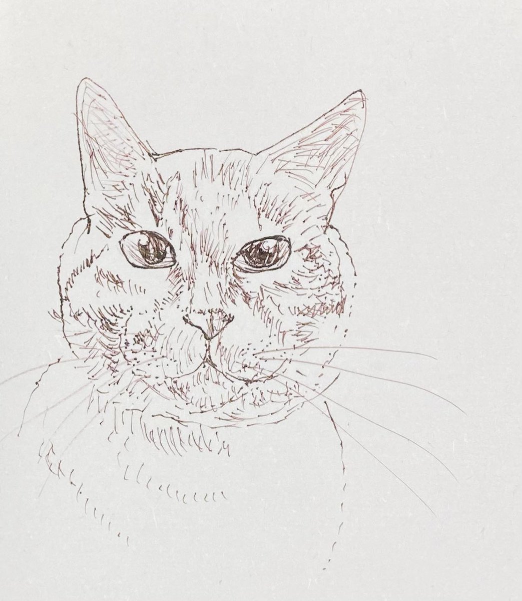あおニャーマン 今朝の一筆 猫イラスト ペン画 猫の絵画 なまねこ 猫の国 ネコ 猫好き 猫作家 作家 絵本 絵描き 画家 イラストレーター イラストレーション 動物画 スケッチ あおニャーマン 今朝の一筆 猫イラスト ペン画 猫の絵画 なまねこ 猫の国 ネコ 猫好き 猫作家 作家 絵本 絵描き 画家 イラストレーター イラストレーション 動物画 スケッチ