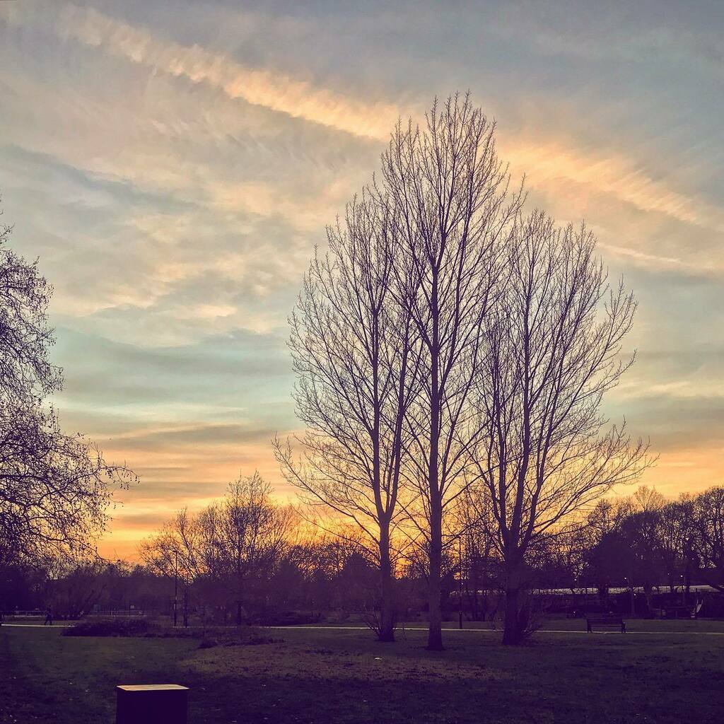 fieldym's tweet photo. Sunset over Ladywell

#Sunset #Ladywell #LadywellFields #Catford #Lewisham #Park #ParkWalkNotRun #ParkWalk #Walking #LockdownExcercise #GoldenHour #WinterVibes #WinterHasCome #DailyPhoto #PhotoOfTheDay #SouthLondon #SouthEastLondon #BareTrees #TrainInThe… https://t.co/EQqEqpVOUS https://t.co/bj4nc4APrm