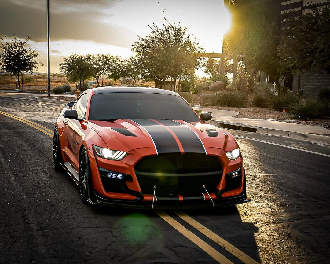 mpconceptsau's tweet photo. GT500 Style Front is the perfect look for Christmas! 🎄
#gt500style #mustanggt500 #shelbygt500 #gt500mustang #mustanggt350 #gt350mustang #gt350style #shelbygt350 #mpconcepts #mpconceptsau #mpconceptsaustralia #fordmustang #mustangs550 https://t.co/VtNhLzyKnF