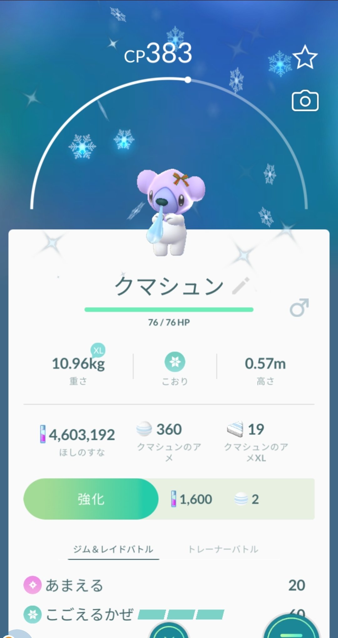 色違いツンベアー Twitter Search Twitter