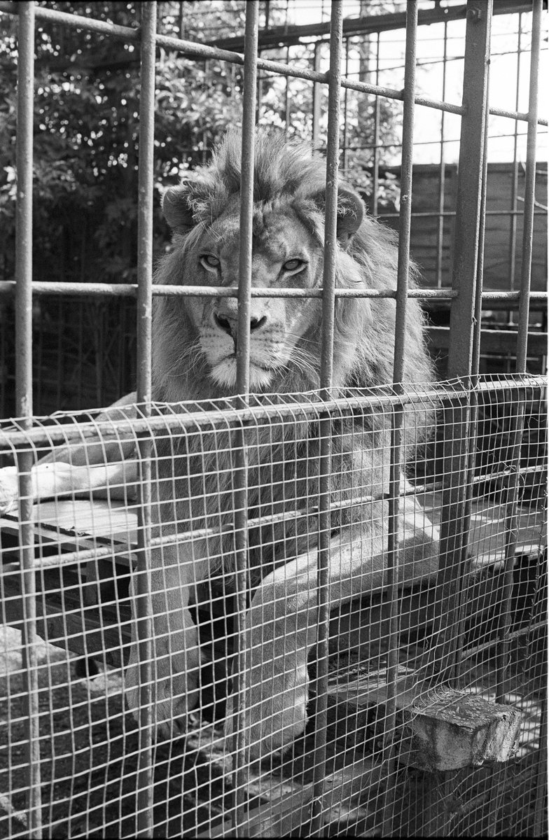 Mike Huskisson tweet media