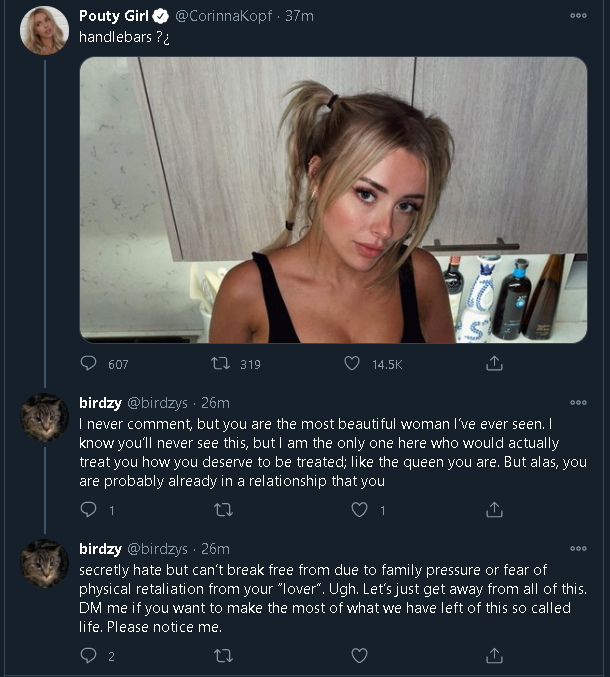 viking tweet media