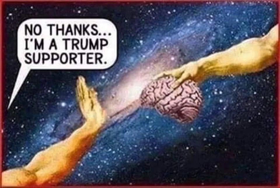 nancyeileen12's tweet photo. @sandrella61 @outwithtrumpy @kayleighmcenany https://t.co/ix4bWV2FXz